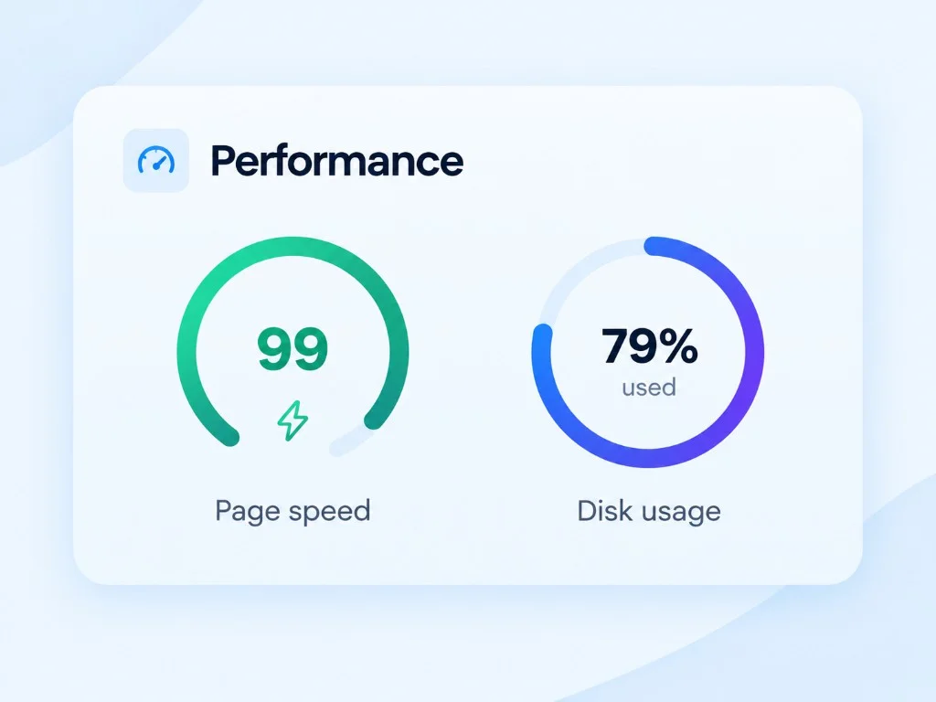 Performance gauges for page speed and disk usage