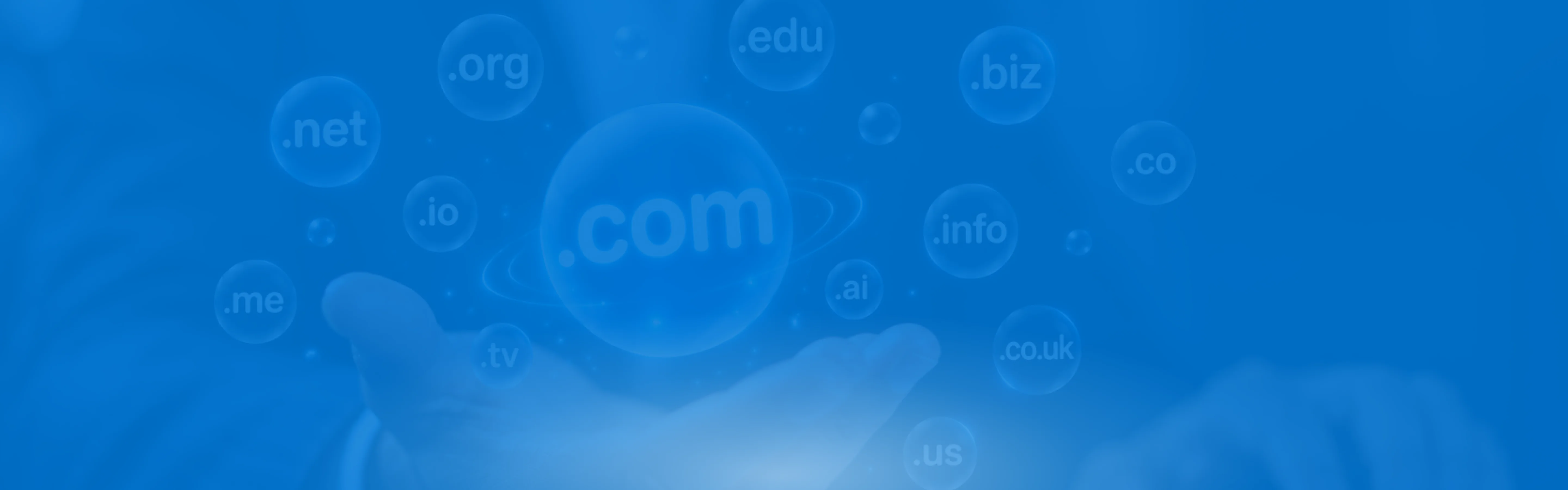 Domain privacy protection background